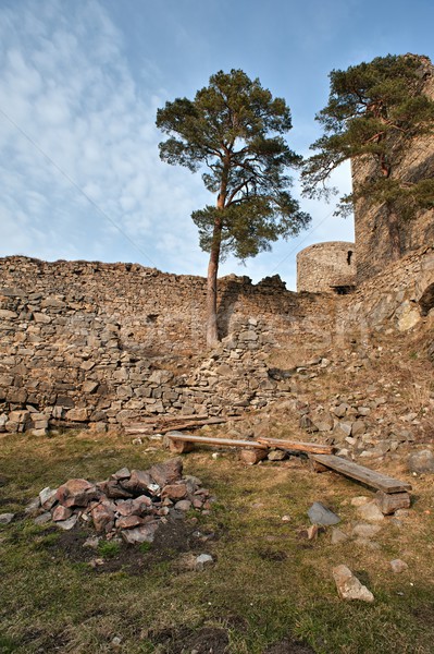 Foto stock: Ruinas · edad · castillo · República · Checa · edificio · paisaje