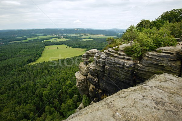 Schönen Sommer Landschaft Wiesen Himmel Blume Stock foto © ondrej83