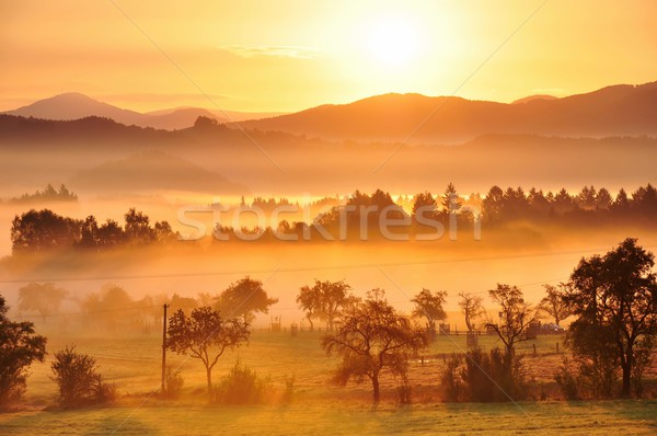 Foto d'archivio: Autunno · nebbia · bella · mattina · sole · panorama