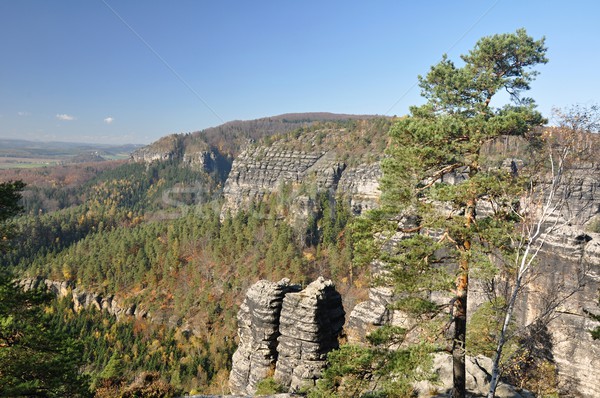 Rocks in Czech Switzerland Stock photo © ondrej83