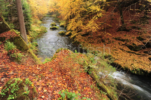 Autumn colors river Stock photo © ondrej83