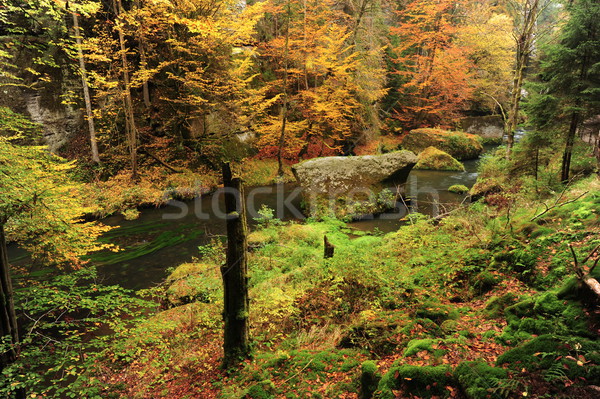 Automne couleurs rivière arbres laisse Photo stock © ondrej83