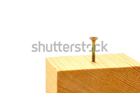 Schroef gedeeltelijk een houten natuur Stockfoto © ondrej83