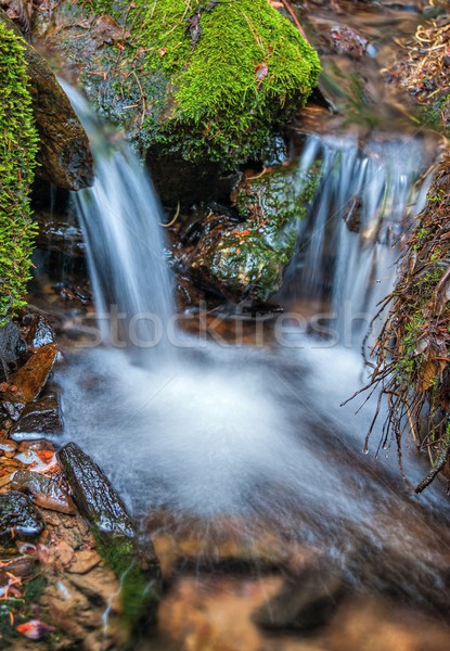 Small spring waterfall Stock photo © ondrej83