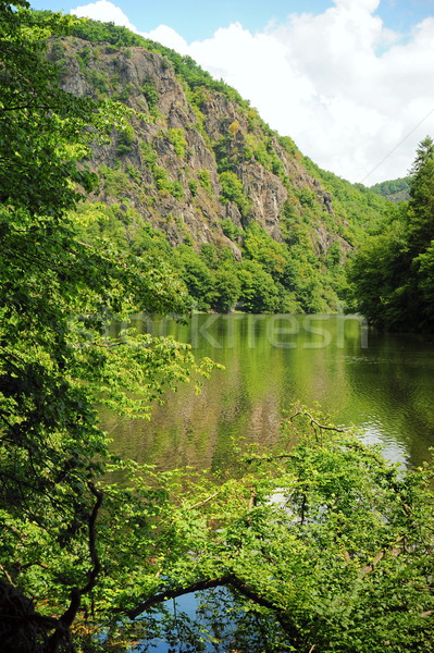 Randonnée sentier marche Rock au-dessus rivière Photo stock © ondrej83