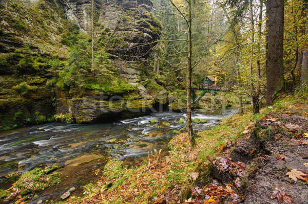 ősz színek folyó színes fák levelek Stock fotó © ondrej83