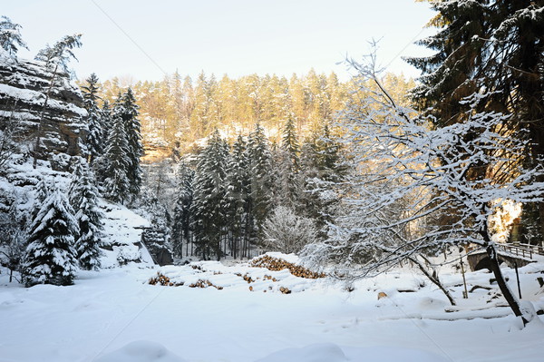 Hiver paysage Suisse neige tchèque Photo stock © ondrej83