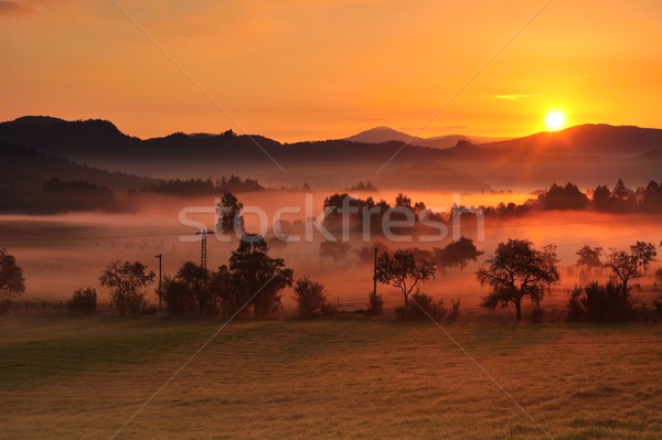 Herbst Nebel schönen Morgen Sonne Landschaft Stock foto © ondrej83