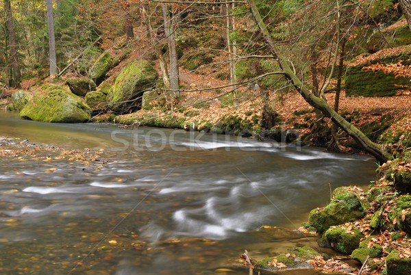 Rivière faible sauvage paysage roches arbre [[stock_photo]] © ondrej83
