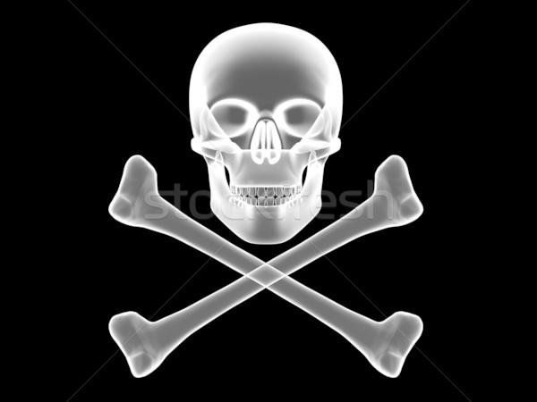 Skull and crossbones x-ray silhouette Stock photo © oneo