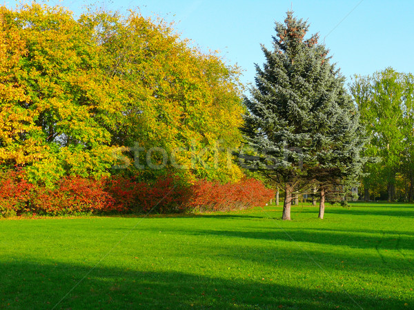 Matin automne paysage vert domaine différent [[stock_photo]] © oneo