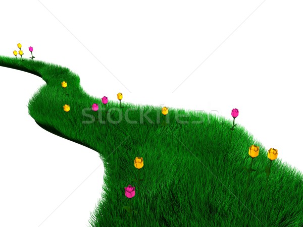 Green grass path Stock photo © OneO2