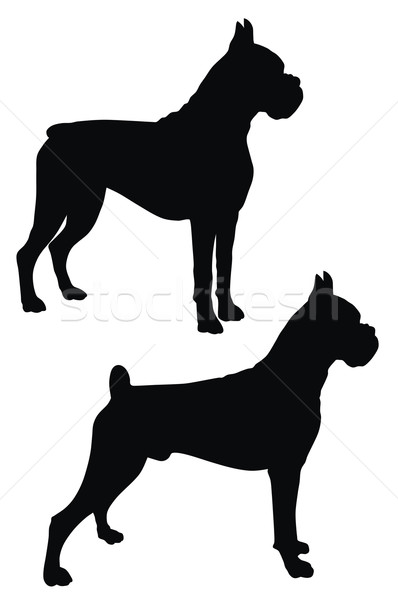 Boxoló absztrakt kutya sziluett grafikus barát Stock fotó © oorka