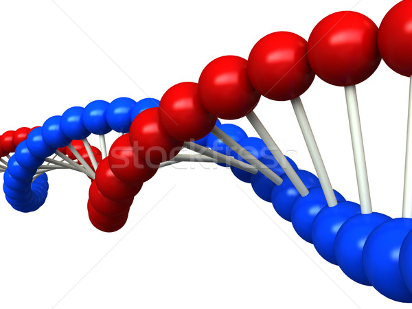 DNA structure Stock photo © oorka