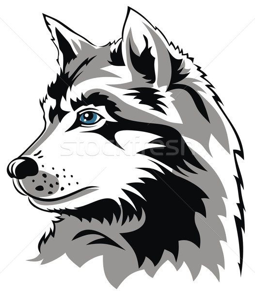 オオカミ 抽象的な 動物 ほ乳類 ハンター ストックフォト © oorka