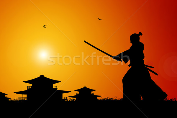 Samurai oude japans scène zonsondergang kunst Stockfoto © oorka