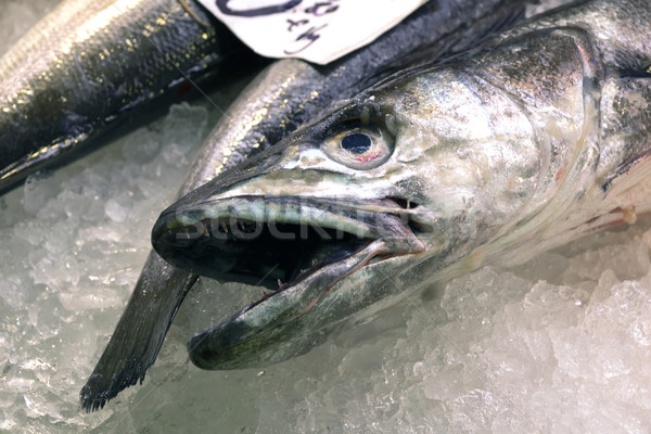 Stock photo: Hake