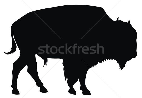 Bison abstrakten Silhouette Stier Illustration säugetier Stock foto © oorka