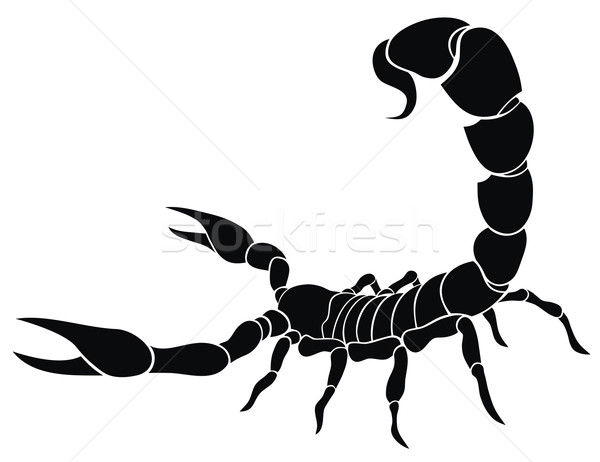 Skorpion abstrakten weiß Zeichen Tier tribal Stock foto © oorka