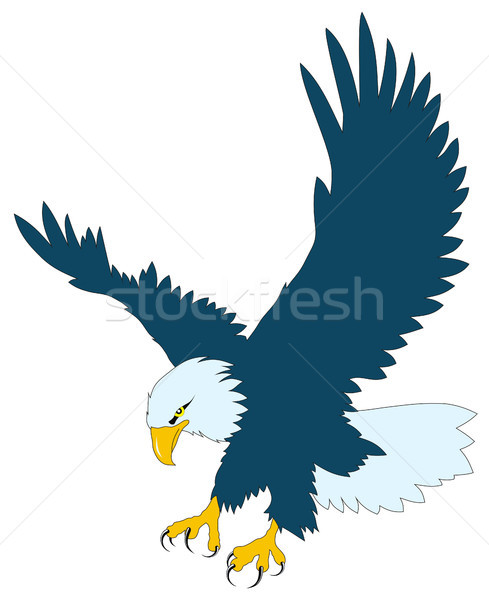 [[stock_photo]]: Aigle · résumé · oiseau · ailes · graphique · aile