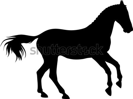 Cavallo esecuzione silhouette Foto d'archivio © oorka