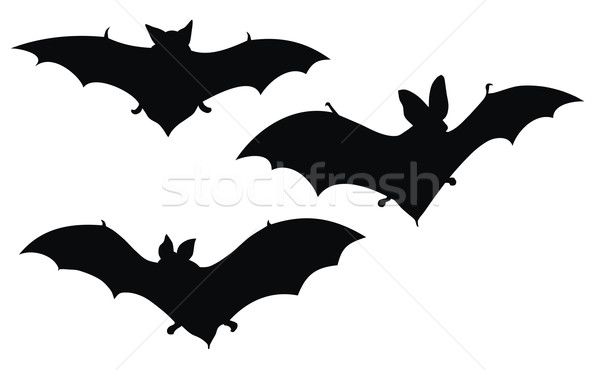 Bats Stock photo © oorka