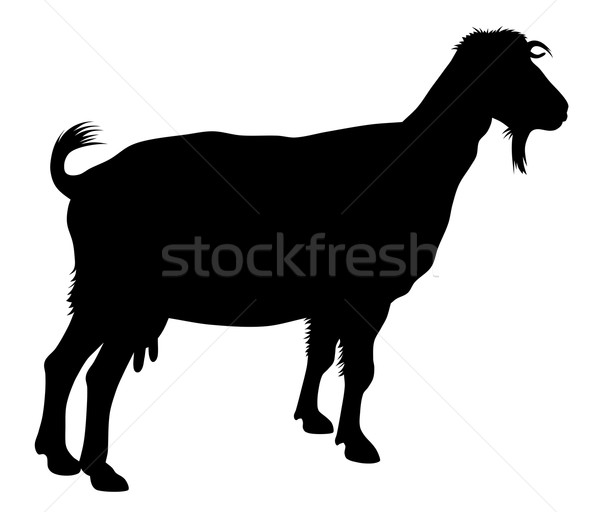 Stock photo: Goat