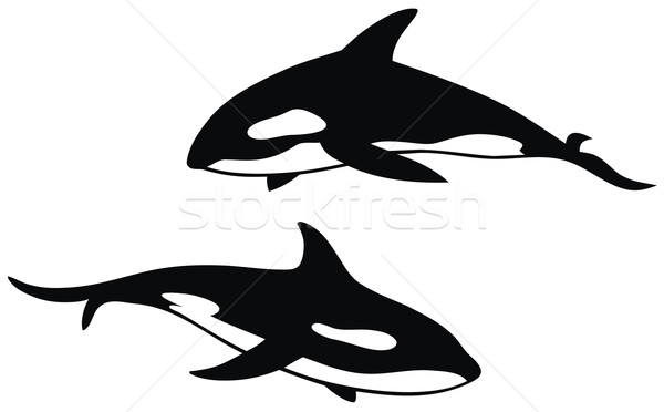 Tueur baleine résumé mer silhouette dauphins [[stock_photo]] © oorka