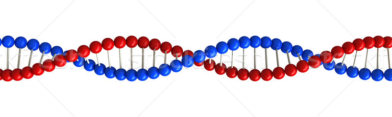 Foto stock: ADN · estructura · 3d · resumen · médicos · blanco