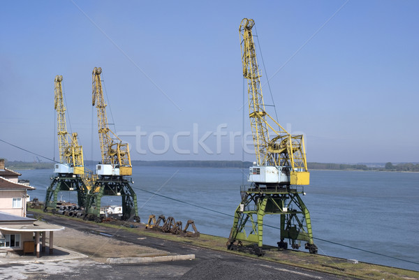 Cranes Stock photo © oorka