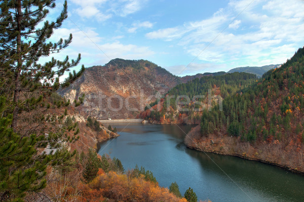 Dam Teshel Stock photo © oorka