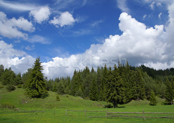 Mountain Rodopi Stock photo © oorka
