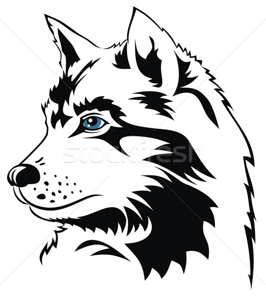 волка аннотация животного млекопитающее охотник Сток-фото © oorka