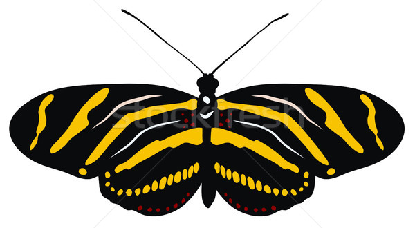 Pillangó absztrakt állat szárnyak rovar Stock fotó © oorka