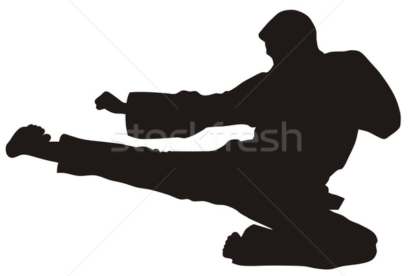 Harcművészet absztrakt harcos sziluett sport művészet Stock fotó © oorka