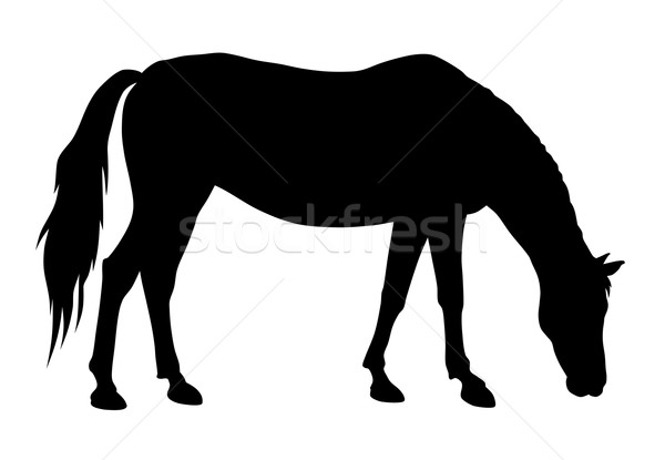 Cavallo silhouette illustrazione Foto d'archivio © oorka