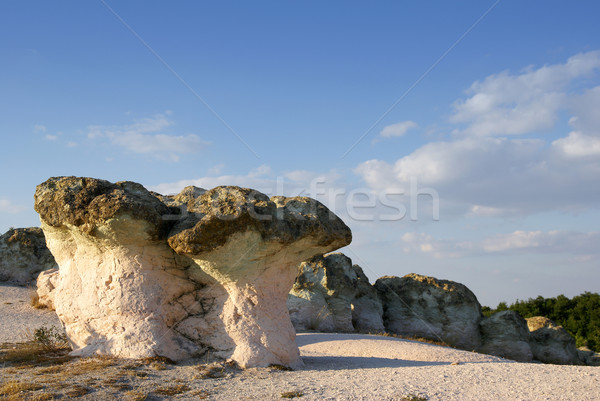 Jaskini grzyby charakter zjawisko górskich Zdjęcia stock © oorka