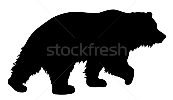 Ponosi niedźwiedź brunatny sylwetka zwierząt wektora ilustracja Zdjęcia stock © oorka