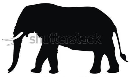 Olifant abstract silhouet dier afrikaanse vector Stockfoto © oorka