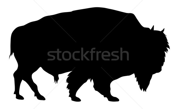 Sziluett vektor szarvasmarha emlős amerikai skicc Stock fotó © oorka