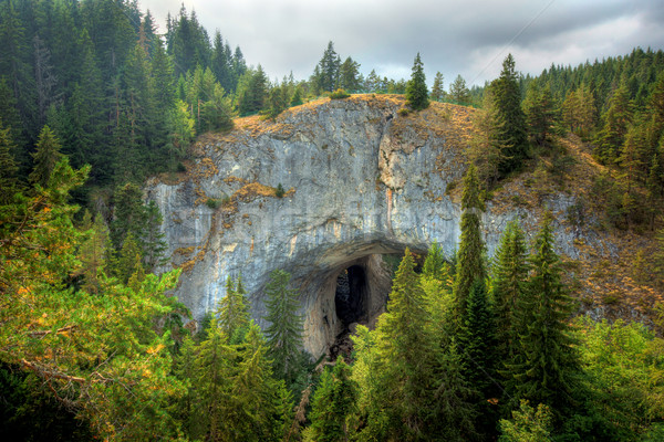 Meraviglioso ponti formazione rocciosa montagna verde ponte Foto d'archivio © oorka