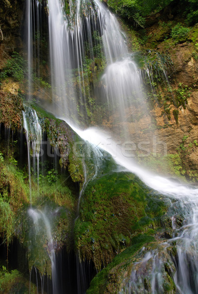 Foto d'archivio: Cascate · cascata · acqua · verde · cascata · rocce