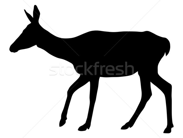 Ikra sziluett vektor vadvilág Stock fotó © oorka