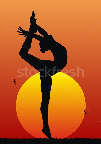 Ritmikus gimnasztikai illusztráció naplemente nők sport Stock fotó © oorka