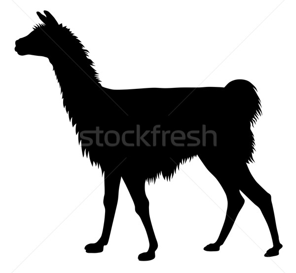 Láma részletes sziluett állat Stock fotó © oorka