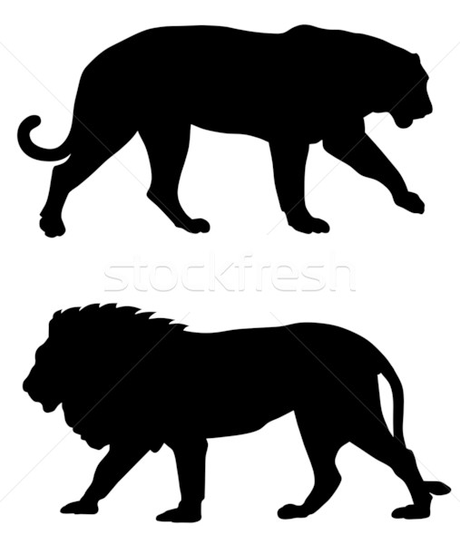 Animals Stock photo © oorka