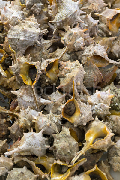 свежие рыбы рынке продовольствие морепродуктов морской Сток-фото © oorka