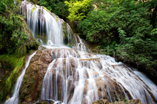 Cascade Bulgaria cascada apă verde cascadă Imagine de stoc © oorka