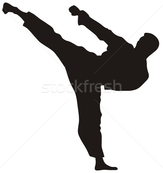 Martial art Stock photo © oorka