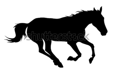 Cavallo esecuzione silhouette Foto d'archivio © oorka